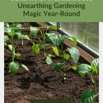 Young plants in greenhouse bed with text: Benefits of a Greenhouse Unearthing Gardening Magic Year-Round