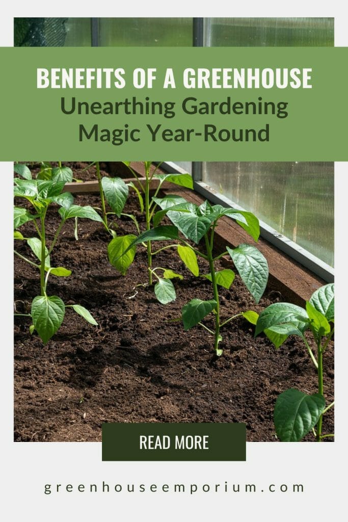 Young plants in greenhouse bed with text: Benefits of a Greenhouse Unearthing Gardening Magic Year-Round