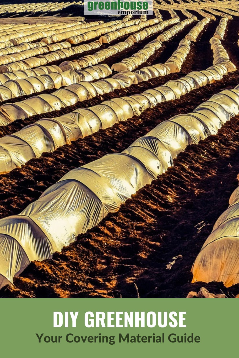 Hoop houses with plastic covering with text: DIY Greenhouse Your Covering Material Guide