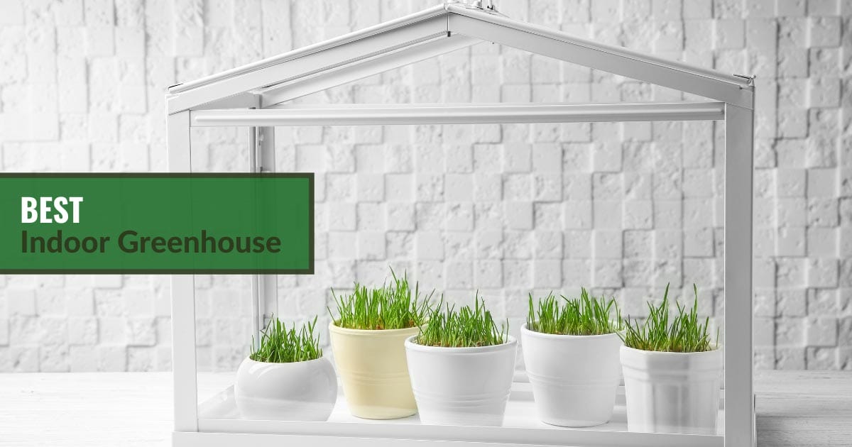 Small white table top greenhouse in front of white wall with the text: Best Indoor Greenhouse