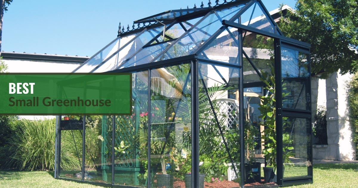 Small glass greenhouse in Victorian style with the text: Best Small Greenhouse