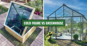 Wooden cold frame on the left and large glass greenhouse on the right with the text in the center: Cold Frame vs Greenhouse