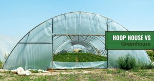 Large DIY Hoop House with the text: Hoop House vs. Greenhouse