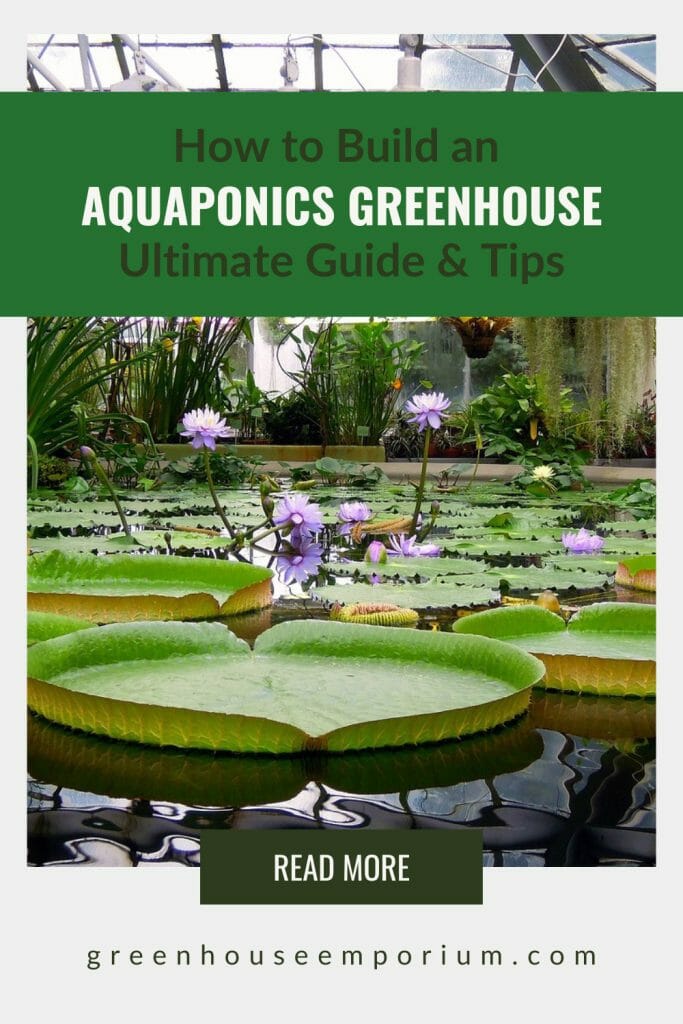 Water lilies and water with text: How to Build an Aquaponics Greenhouse Ultimate Guide & Tips