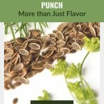 Dill seeds, leaves and flower with text: Dill's Nutritional Punch More than Just Flavor
