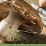 Portobello mushroom cap with text: Greenhouse Gardening A Guide to Growing Portobello Mushrooms