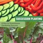 Sliced vegetables and leafy greens with text: Succession Planting A Key to Greenhouse Gardening Success