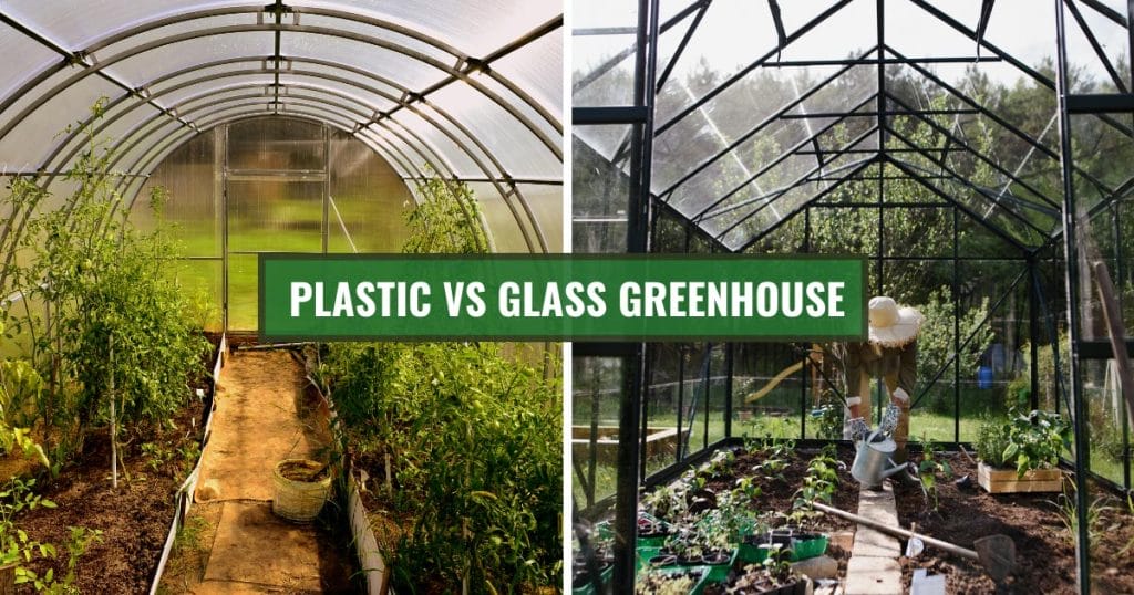 Plastic greenhouse on the left and glass greenhouse on the right with the text: Plastic vs Glass Greenhouse