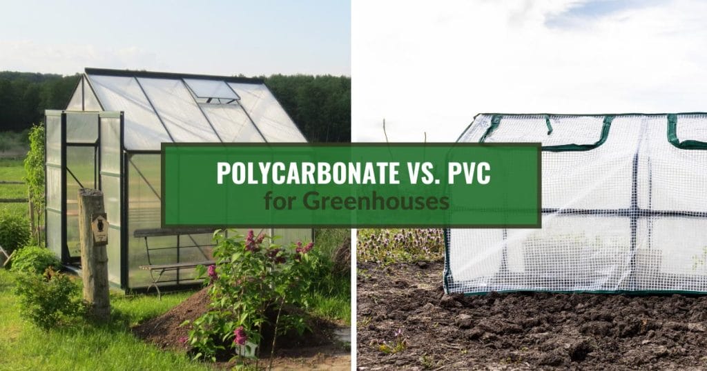Polycarbonate Greenhouse on the left and PVC Greenhouse on the right with the text: Polycarbonate vs. PVC for Greenhouse
