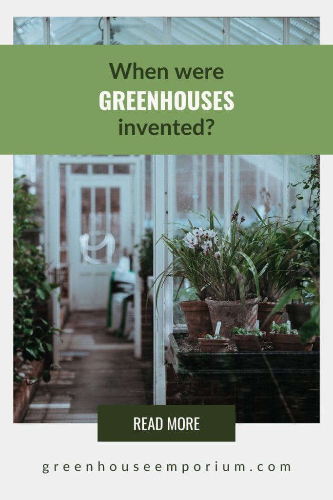 Interior view of greenhouse with text: When Were Greenhouses Invented?