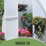 Exterior view of greenhouse with flowering plants inside with text: Where to Position a Mini Greenhouse A Complete Guide