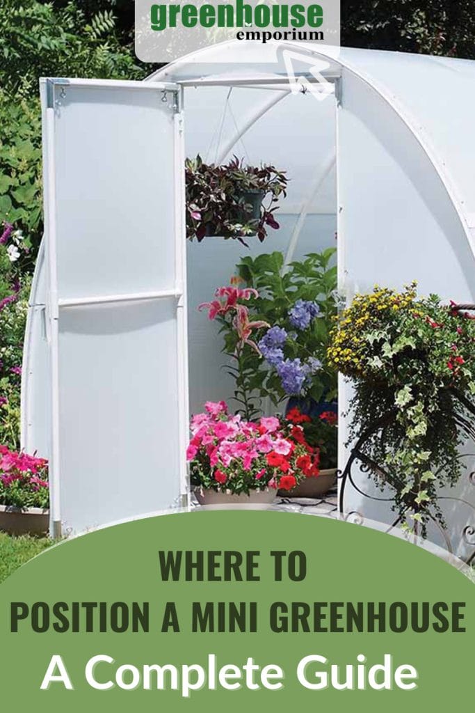 Exterior view of greenhouse with flowering plants inside with text: Where to Position a Mini Greenhouse A Complete Guide