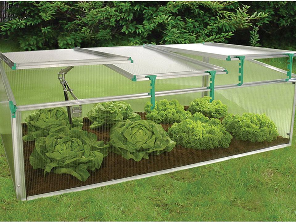 cold frame greenhouse