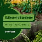 Interior view greenhouse and plants with text: Hothouse vs Greenhouse Discover the Best Choice
