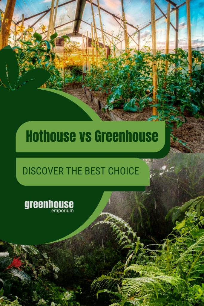 Interior view greenhouse and plants with text: Hothouse vs Greenhouse Discover the Best Choice