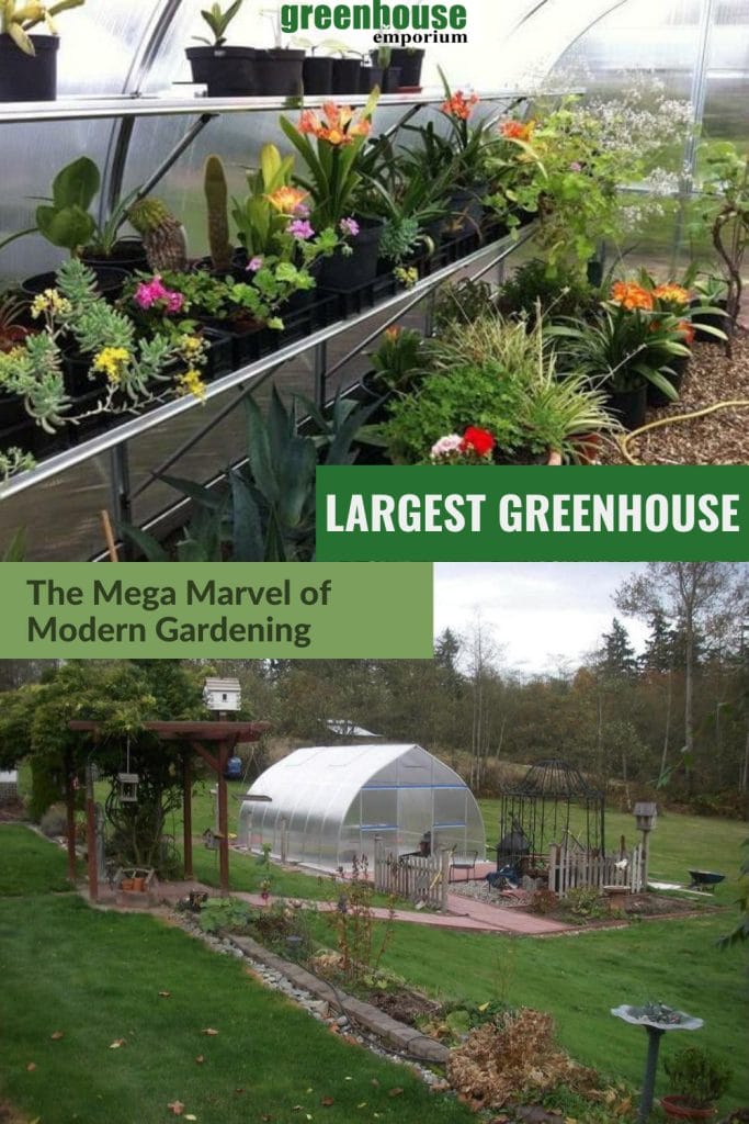 Plants inside greenhouse bed and exterior greenhouse view with text: Largest Greenhouse The Mega Marvel of Modern Gardening