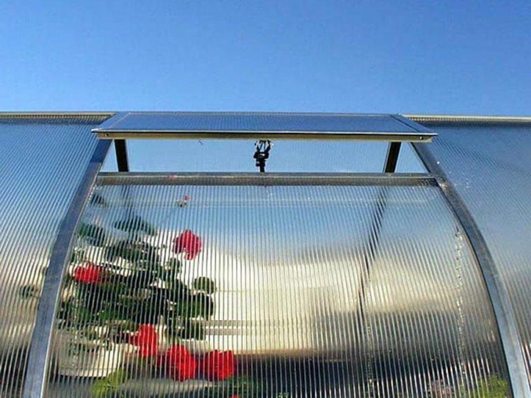 How To Cool A Greenhouse Without Electricity Ultimate Guide
