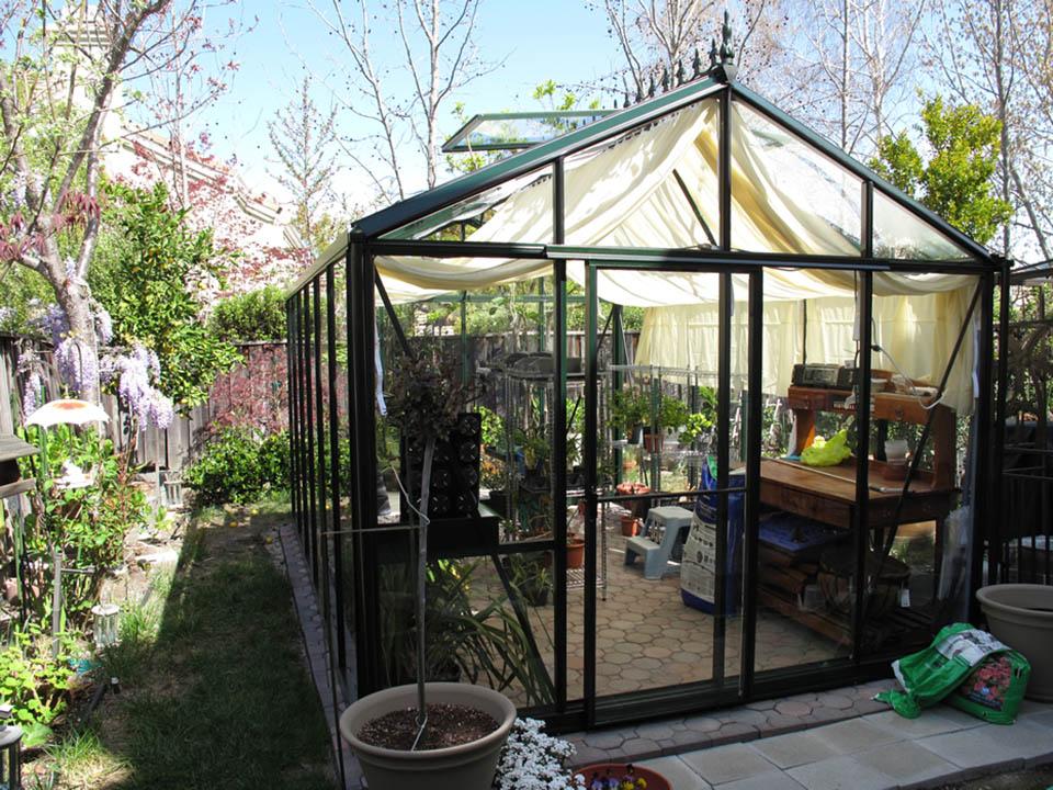 does a greenhouse need direct sunlight
