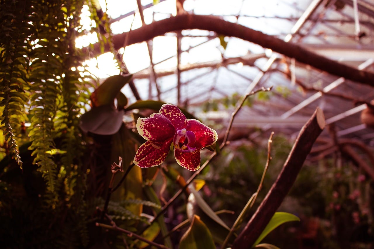 greenhouse heating