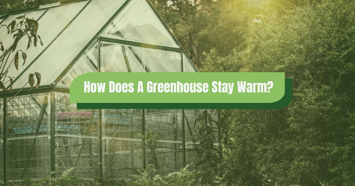 how does a greenhouse stay warm