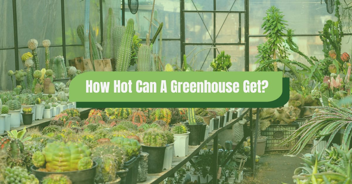 how hot can a greenhouse get