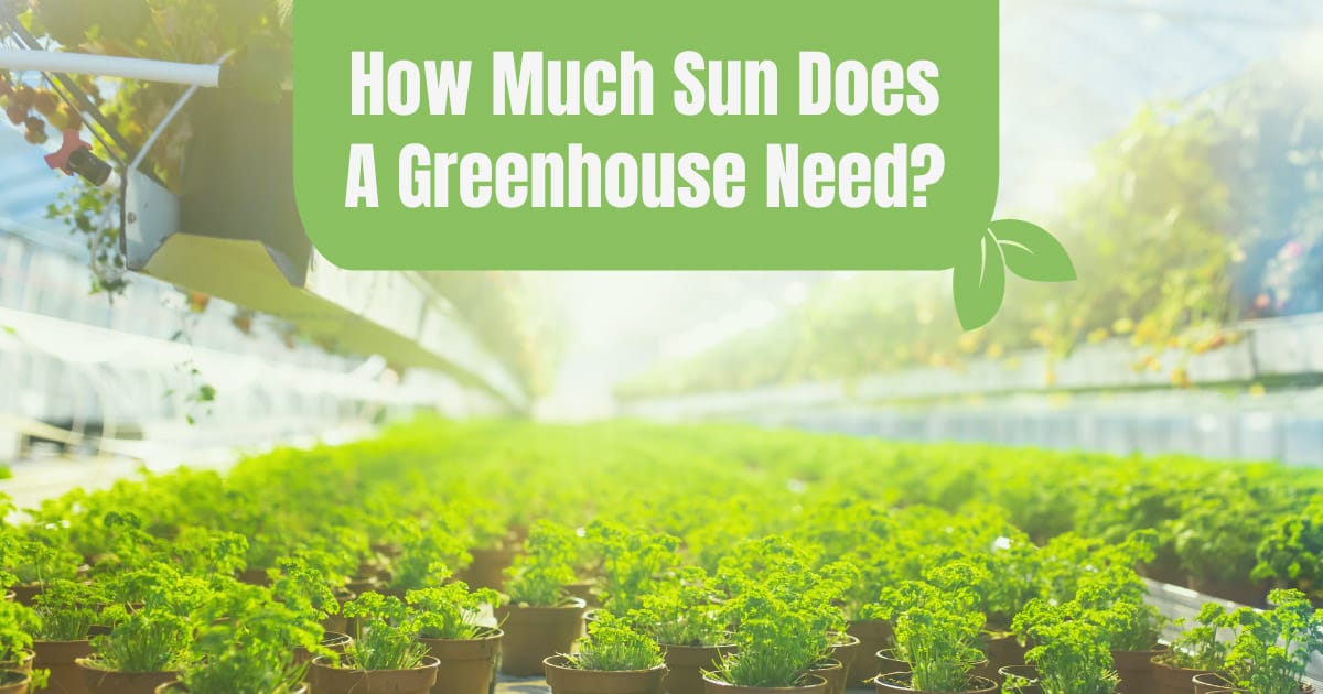 how much sun does a greenhouse need