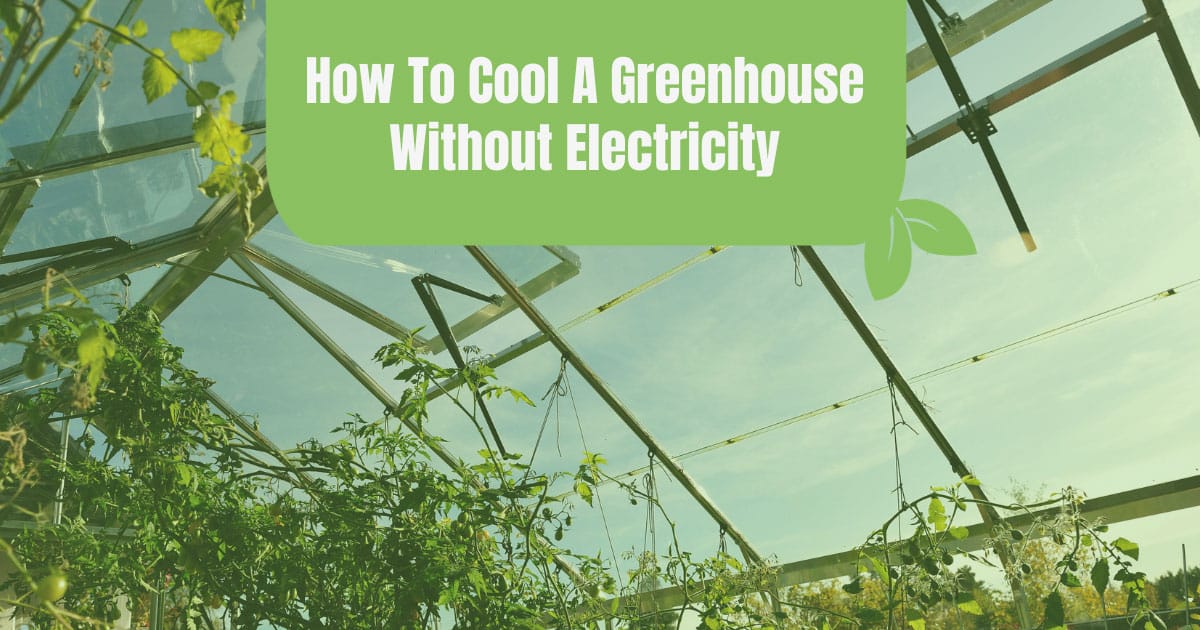 how to cool a greenhouse without electricity