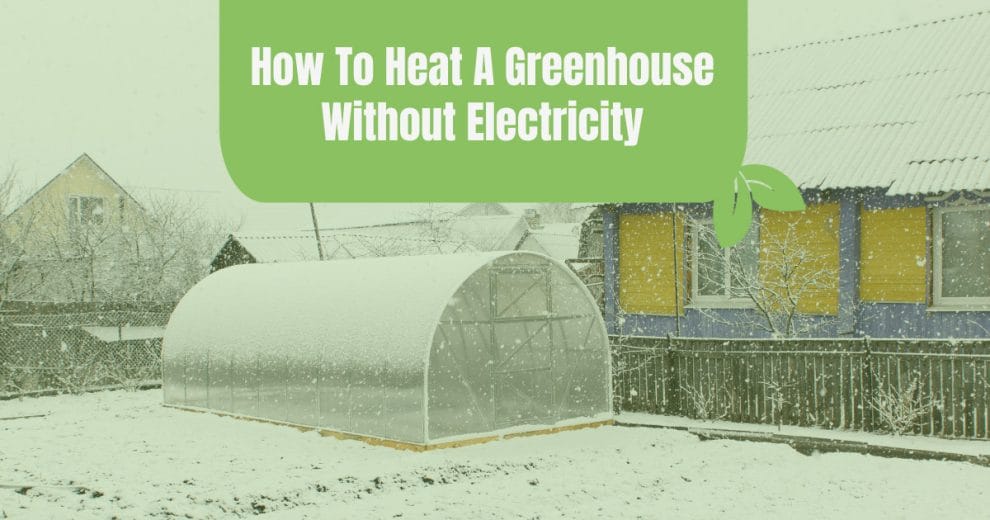 How To Heat A Greenhouse Without Electricity Full Guide