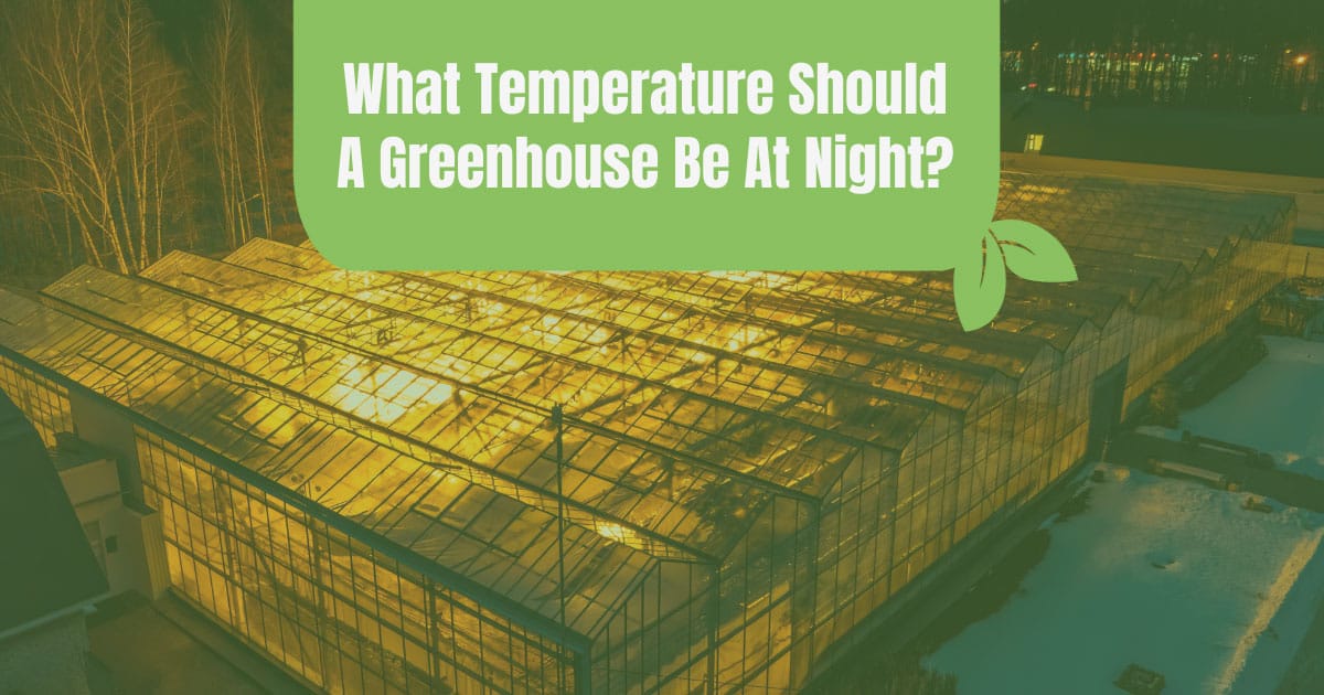 what temperature should a greenhouse be at night