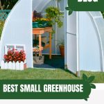 Solexx greenhouse with text: Best Small Greenhouse Gardening in Tiny Spaces!