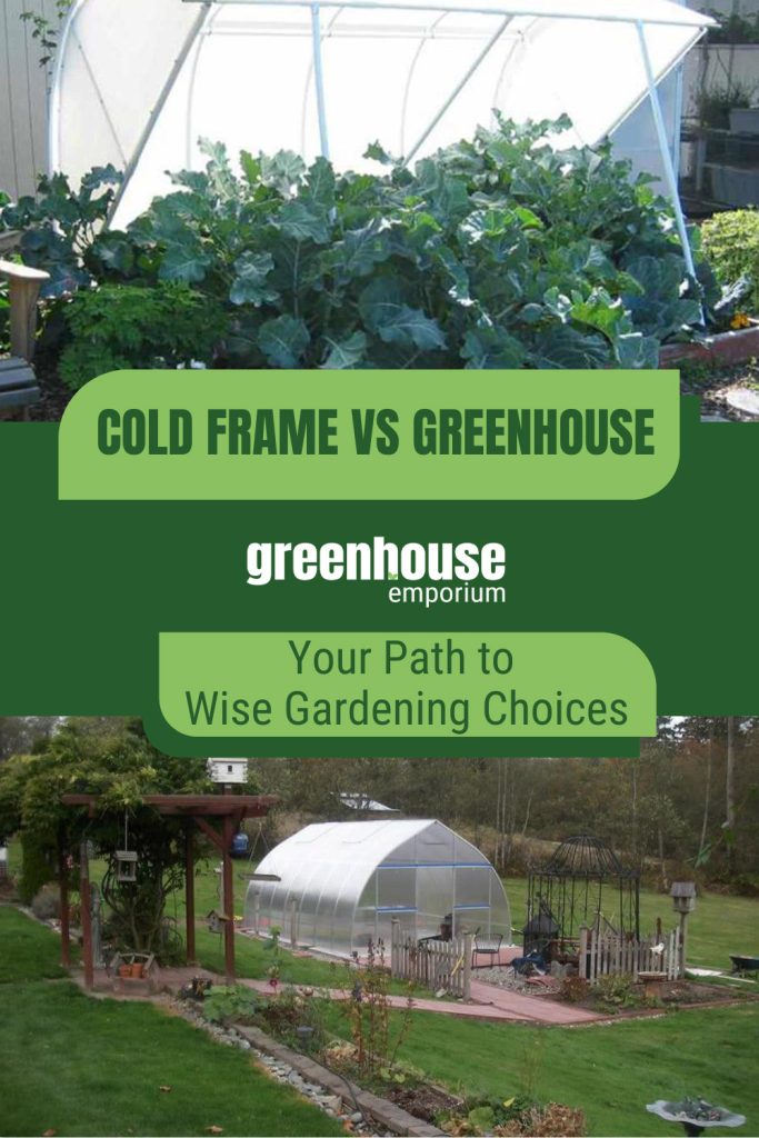 Greens in cold frame and greenhouse in field with text: Cold Frame vs Greenhouse Your Path to Wise Gardening Choices