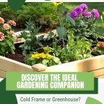 Garden planting cold frame with text: Discover the Ideal Gardening Companion Cold Frame or Greenhouse?