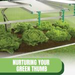 Cold frame partially open with text: Nurturing Your Green Thumb Cold Frame Vs Greenhouse