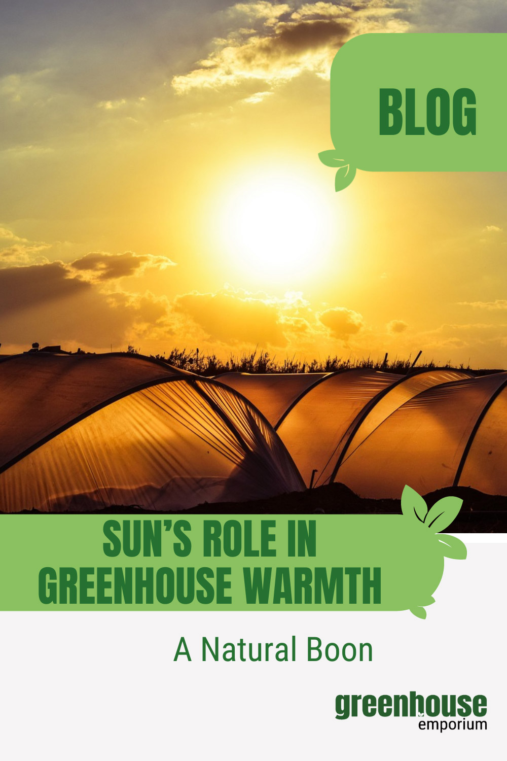 Does A Greenhouse Need A Heater? A Comprehensive Guide