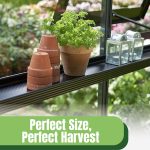 Herb in planter on window shelf with text: Perfect Size, Perfect Harvest Greenhouse Dimensions Guide