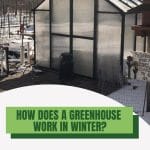 Exterior of greenhouse in snowy landscape with text: How Does A Greenhouse Work in Winter?