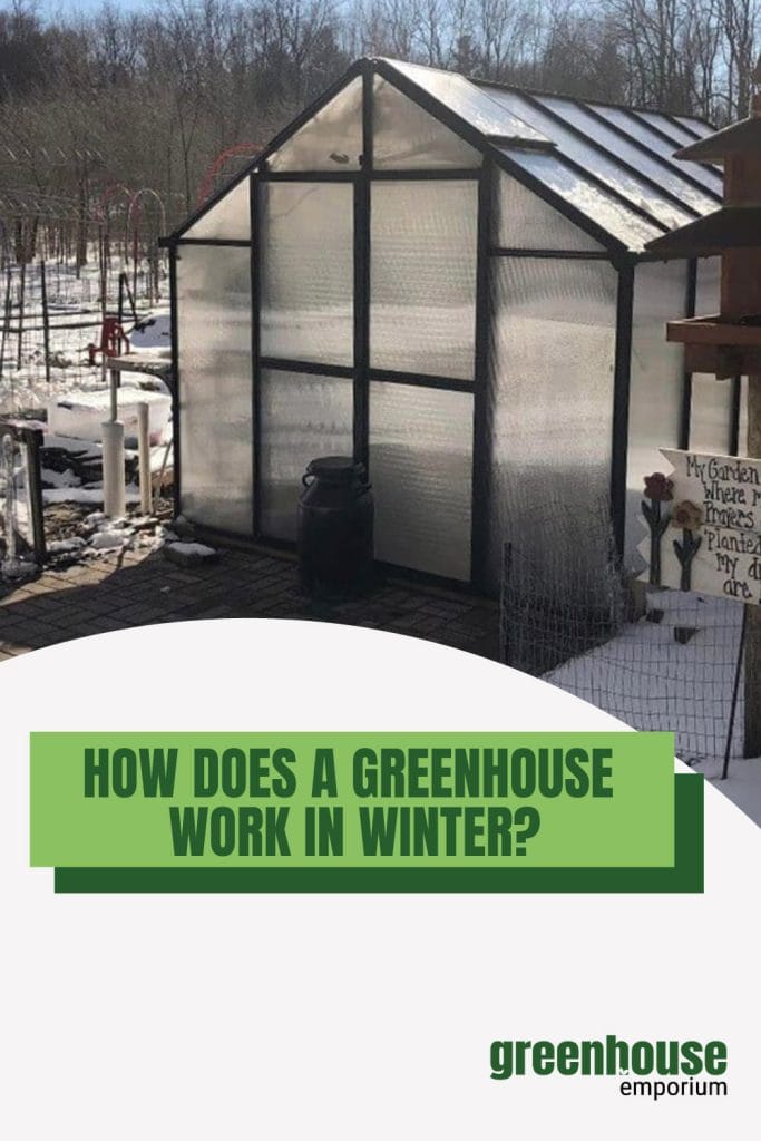 Exterior of greenhouse in snowy landscape with text: How Does A Greenhouse Work in Winter?