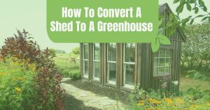 convert shed to greenhouse