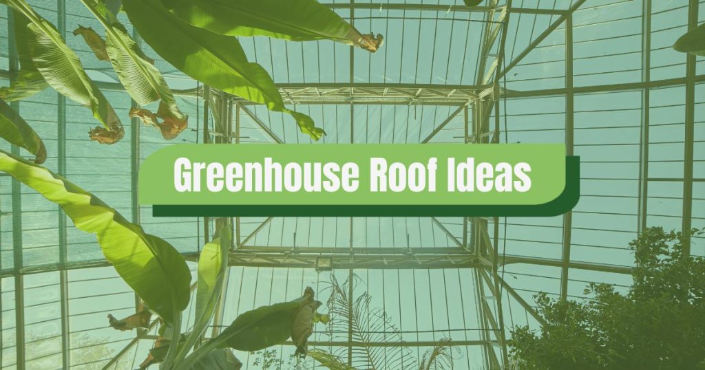 greenhouse roof ideas