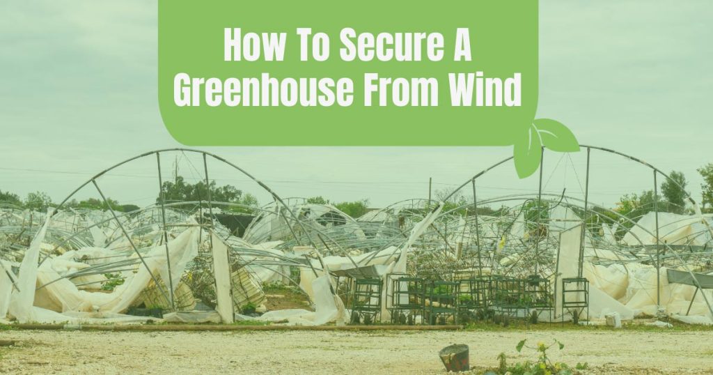 how to secure a greenhouse from wind
