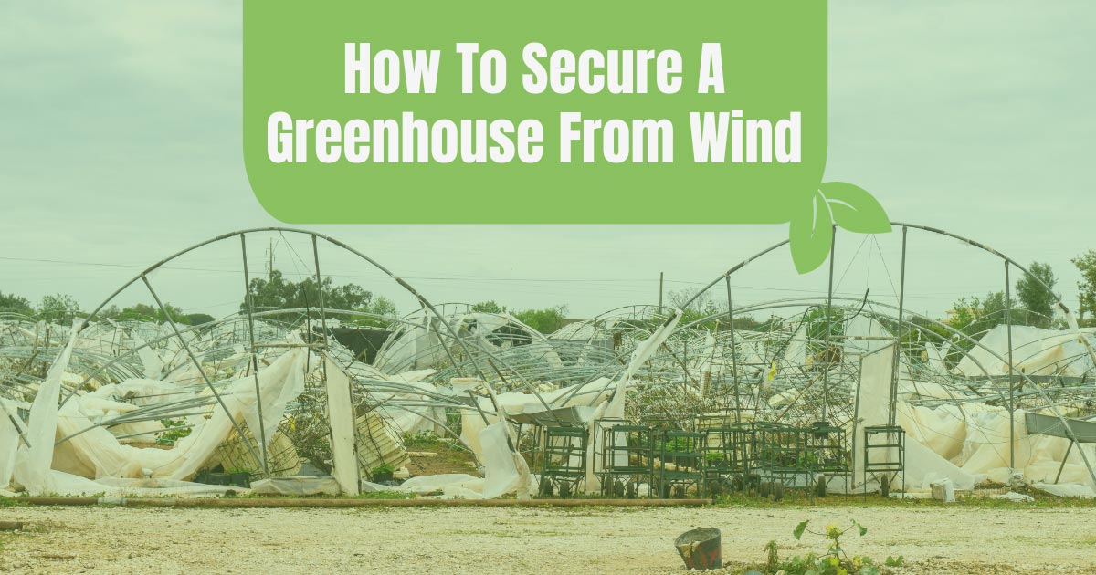 how to secure a greenhouse from wind