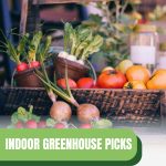 Harvest basket with text: Indoor Greenhouse Picks A Bounty of Fresh Produce
