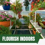 Plants on shelves in greenhouse with text: Flourish Indoors Best Greenhouses for Your Space