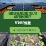 Solar panels and seedlings with text: Understanding Solar Greenhouses A Beginner's Guide