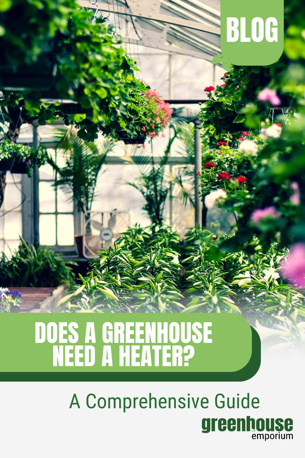 Interior of greenhouse with text: Does A Greenhouse Need a Heater?