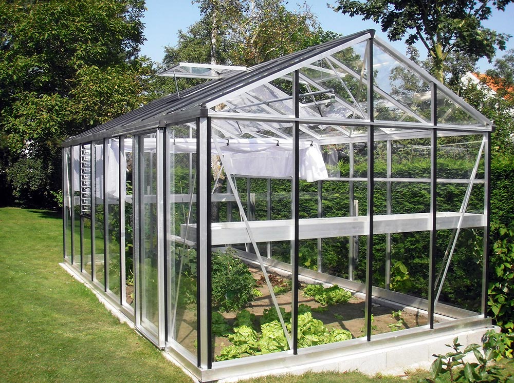 Exaco Janssens Royal Victorian VI36 Greenhouse in Silver with plants growing inside