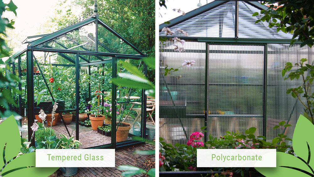 Side-by-side view of an Exaco Janssens Victorian Greenhouse with glass and with polycarbonate glazing