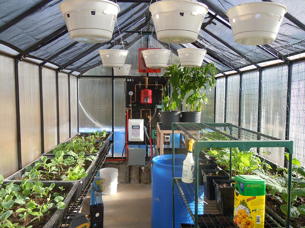 Inside a Riverstone MONT Greenhouse