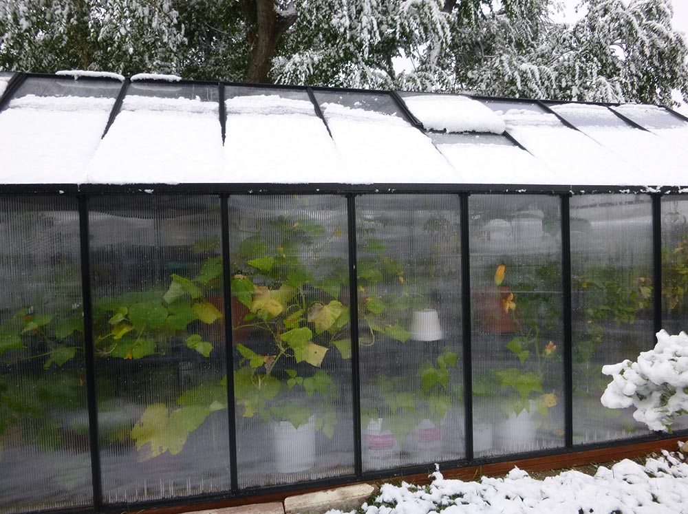 Side view of Riverstone MONT Greenhouse with plants inside and snow on top and around