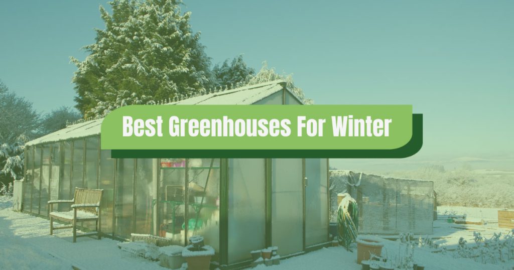 best greenhouses for winter